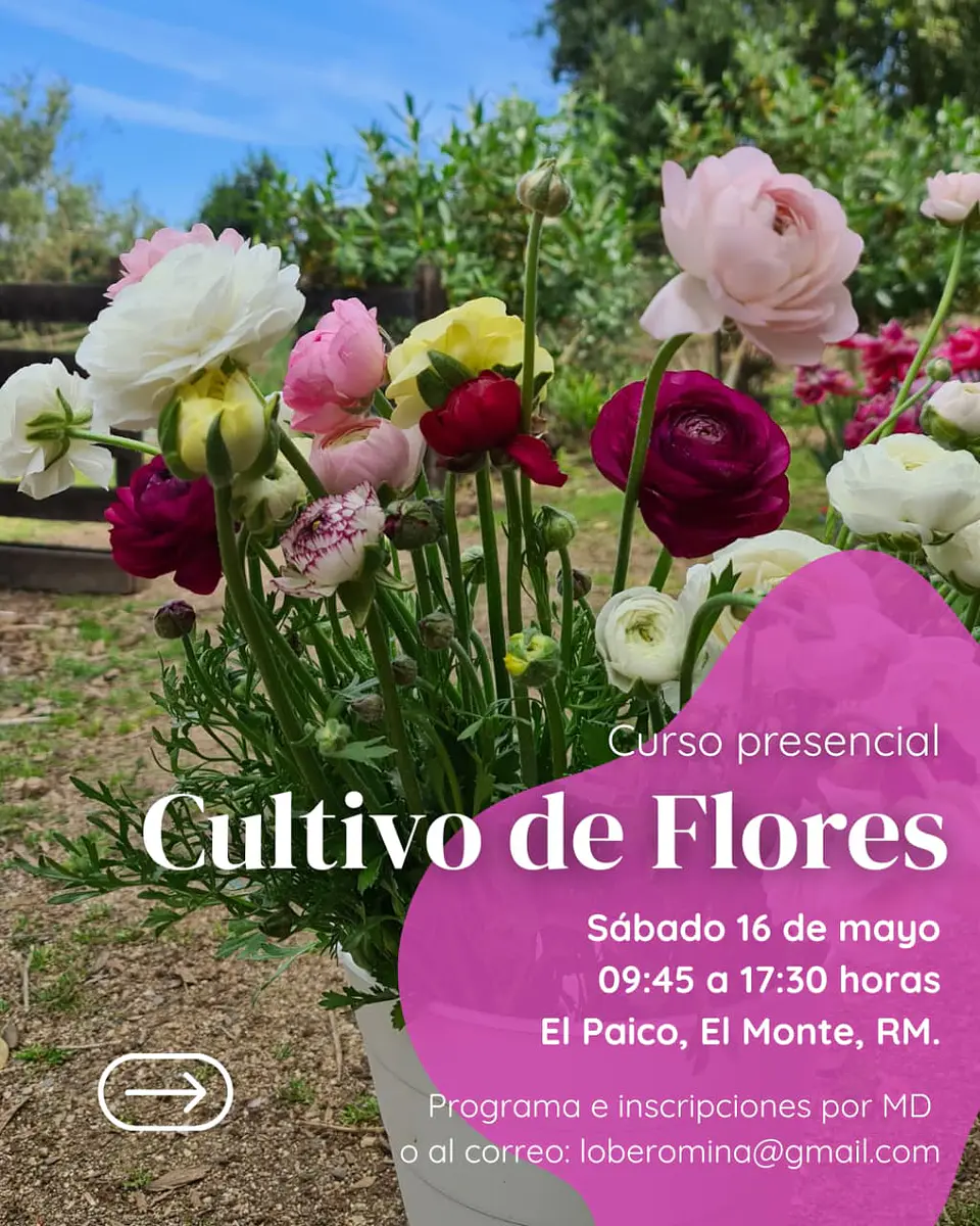 Taller presencial Cultivo de Flores, ciencia, arte y práctica 1