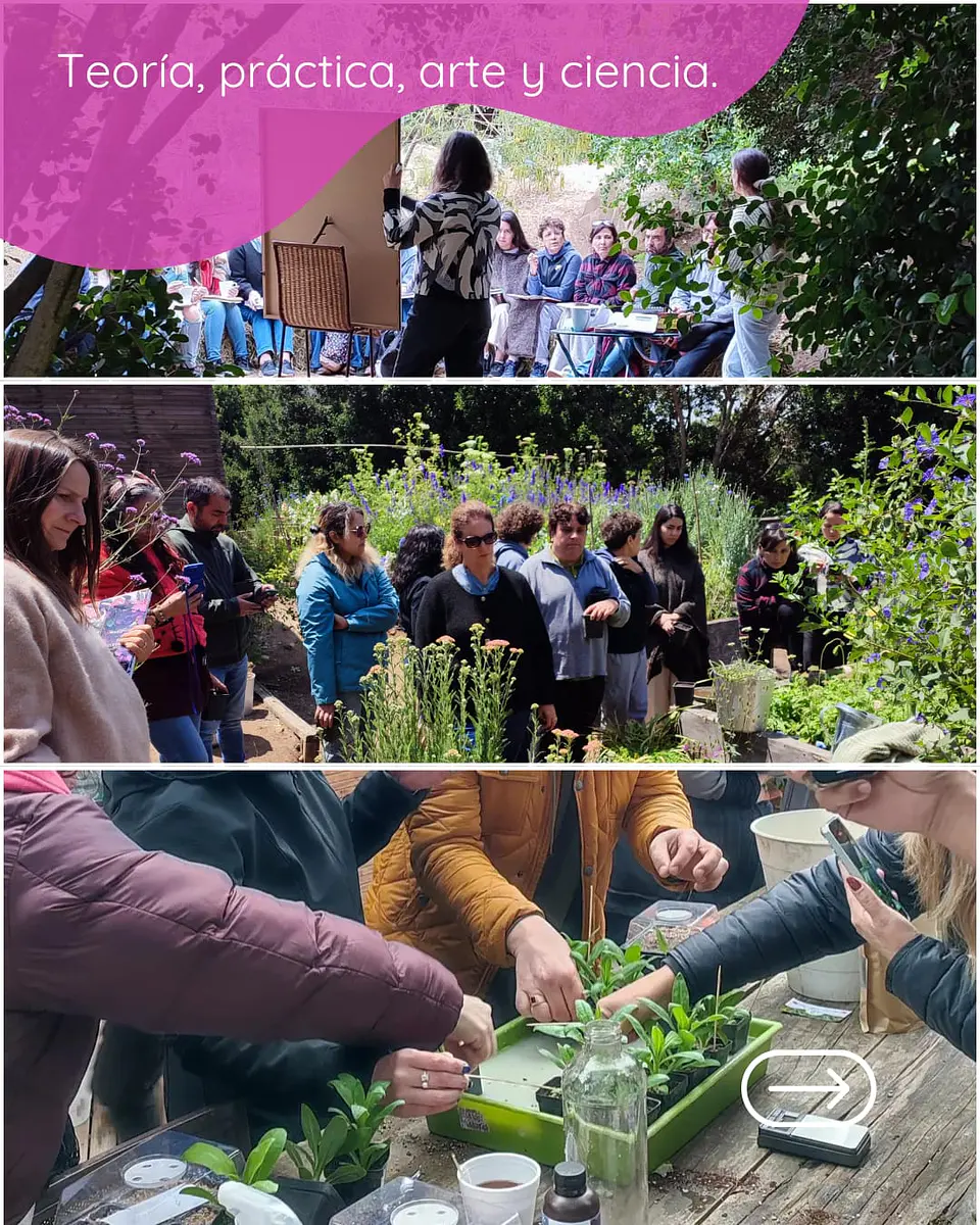 Taller presencial Cultivo de Flores, ciencia, arte y práctica 2