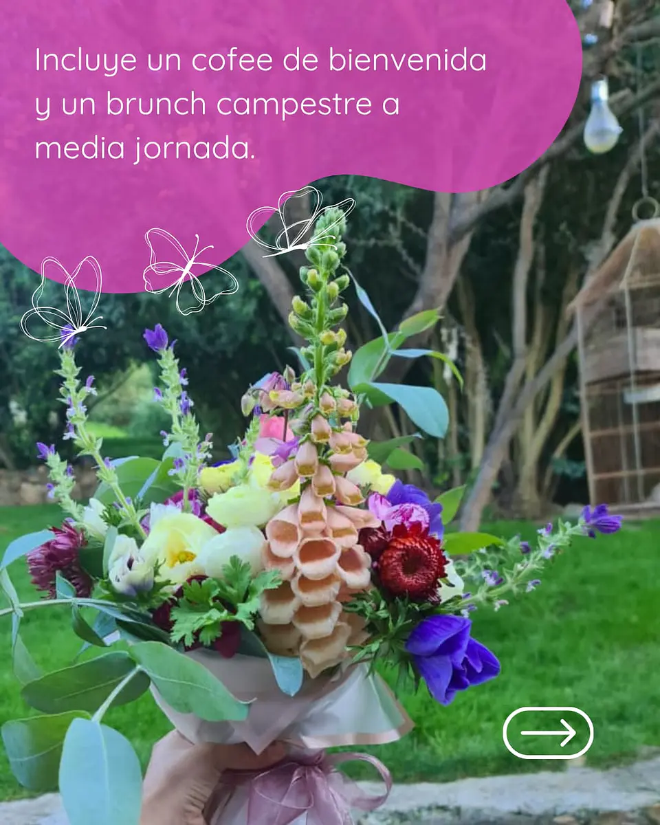 Taller presencial Cultivo de Flores, ciencia, arte y práctica 6