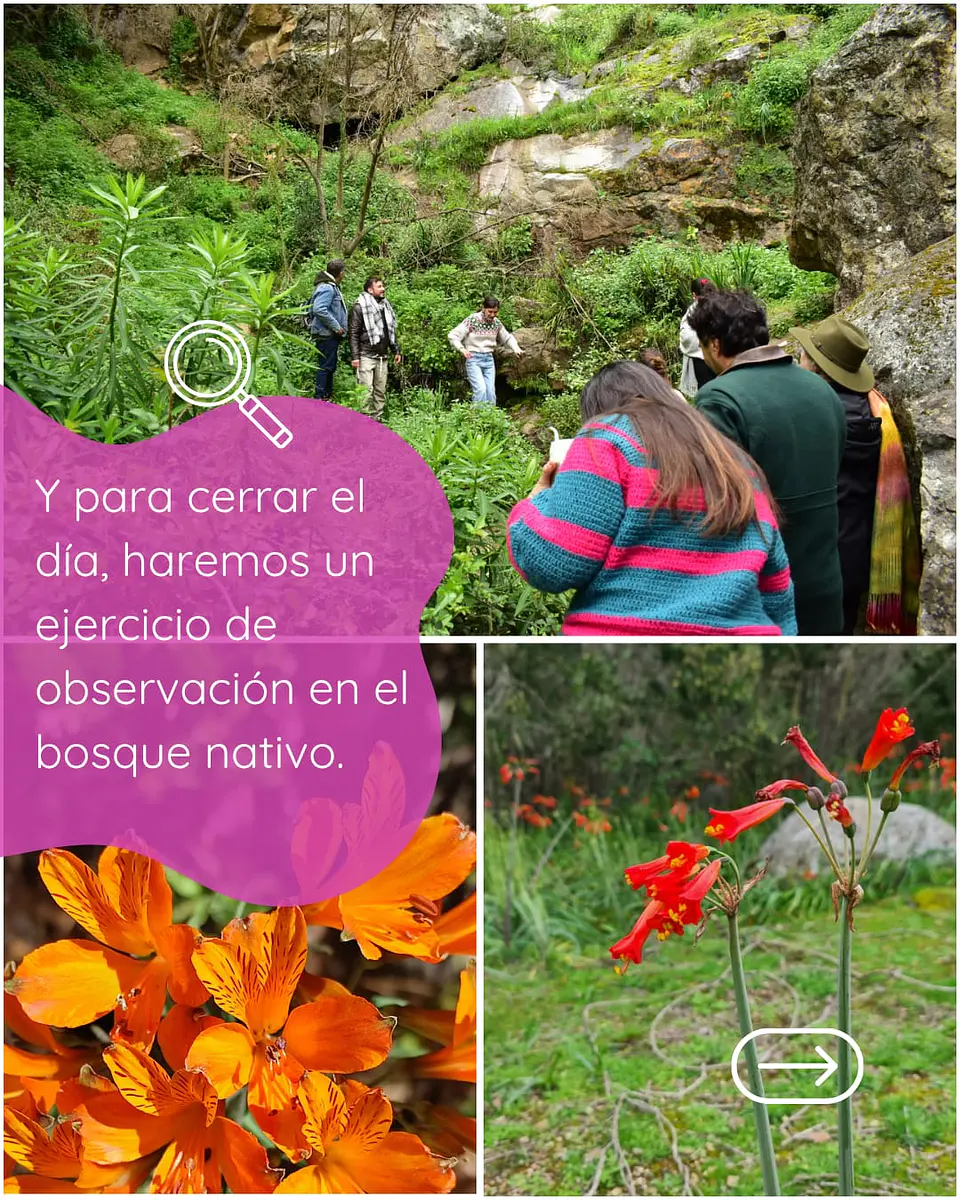 Taller presencial Cultivo de Flores, ciencia, arte y práctica 7