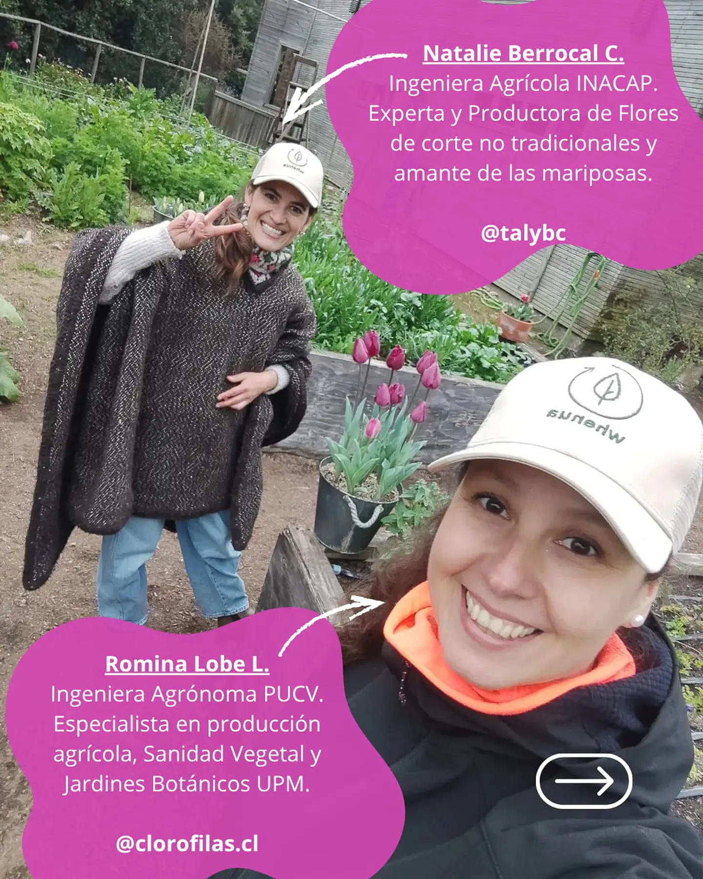 Taller presencial Cultivo de Flores, ciencia, arte y práctica 8