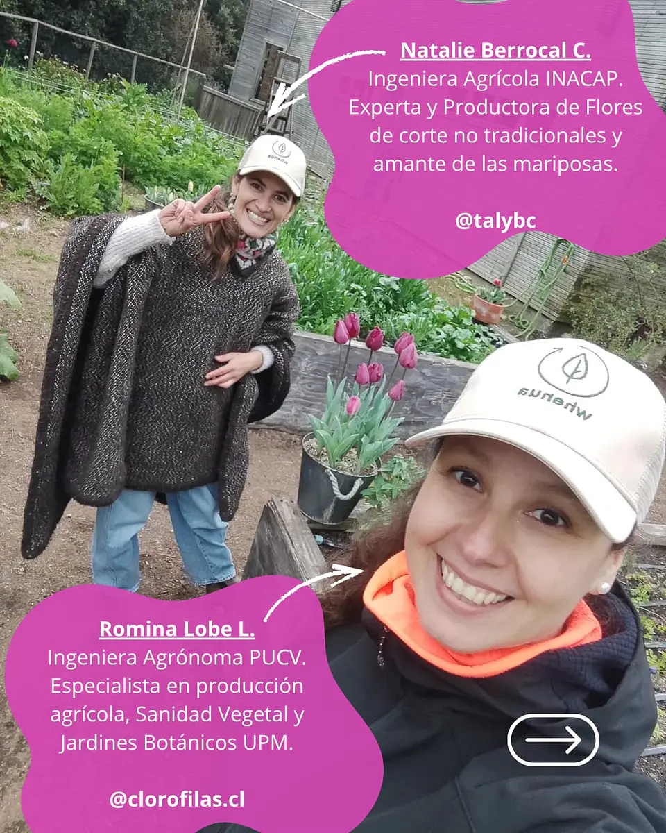 Taller presencial Cultivo de Flores, ciencia, arte y práctica 8