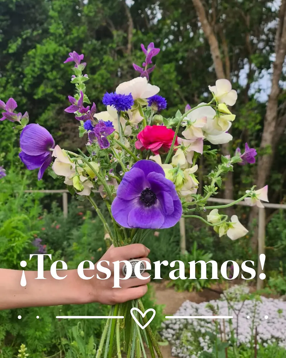 Taller presencial Cultivo de Flores, ciencia, arte y práctica 9