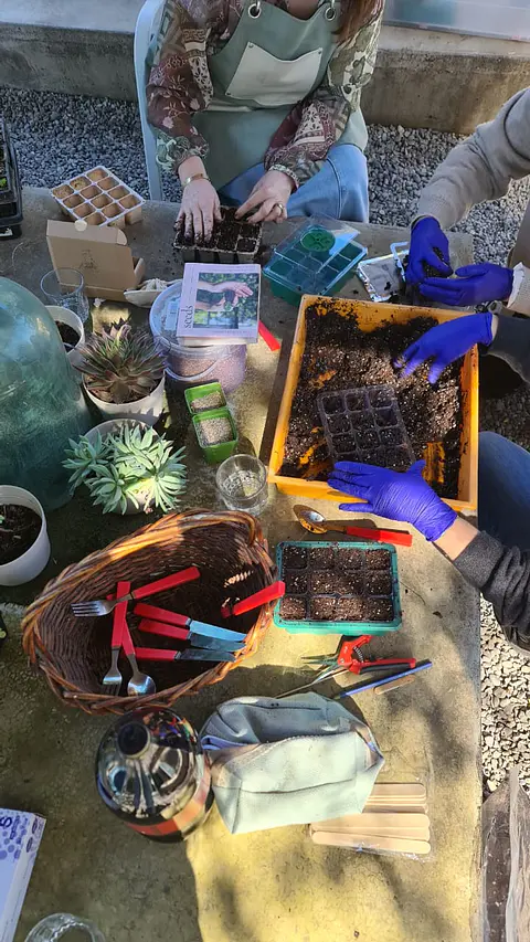  Asesoría personalizada presencial de 3 horas