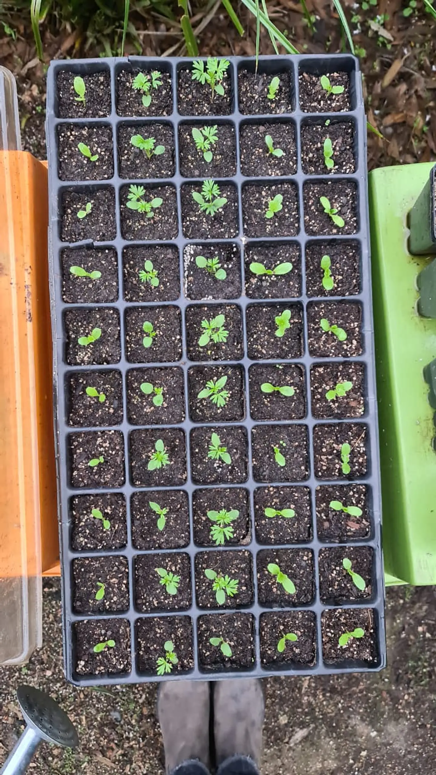  Asesoría personalizada presencial de 3 horas 2