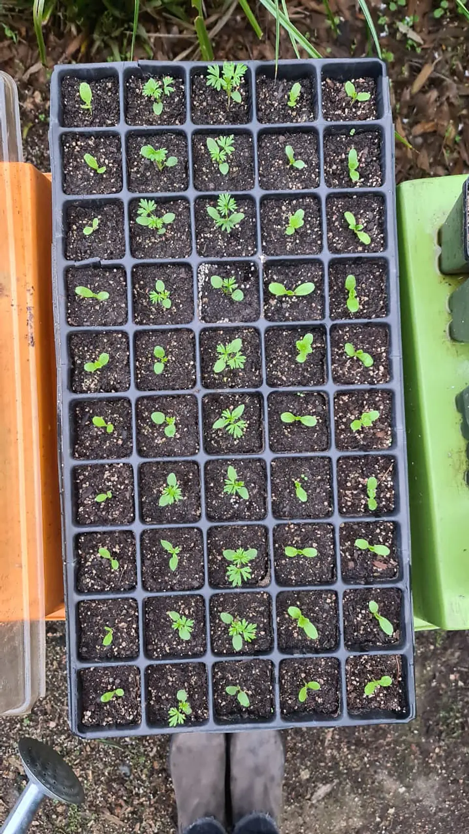  Asesoría personalizada presencial de 3 horas 2