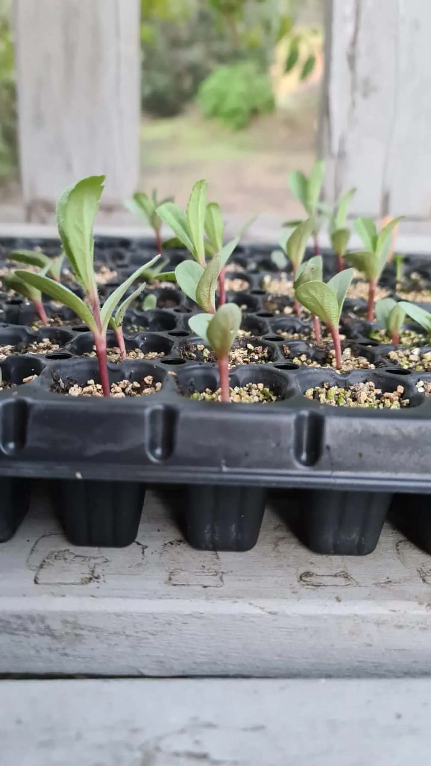  Asesoría personalizada presencial de 3 horas 3