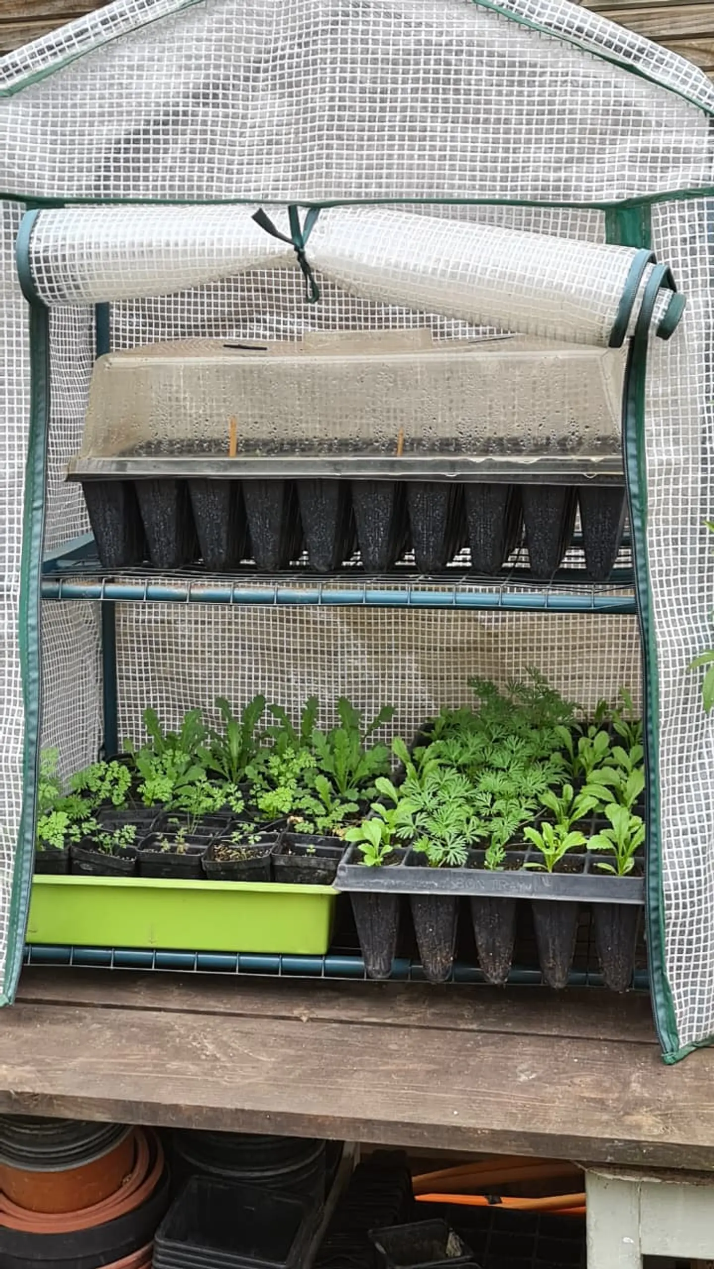  Asesoría personalizada presencial de 3 horas 4