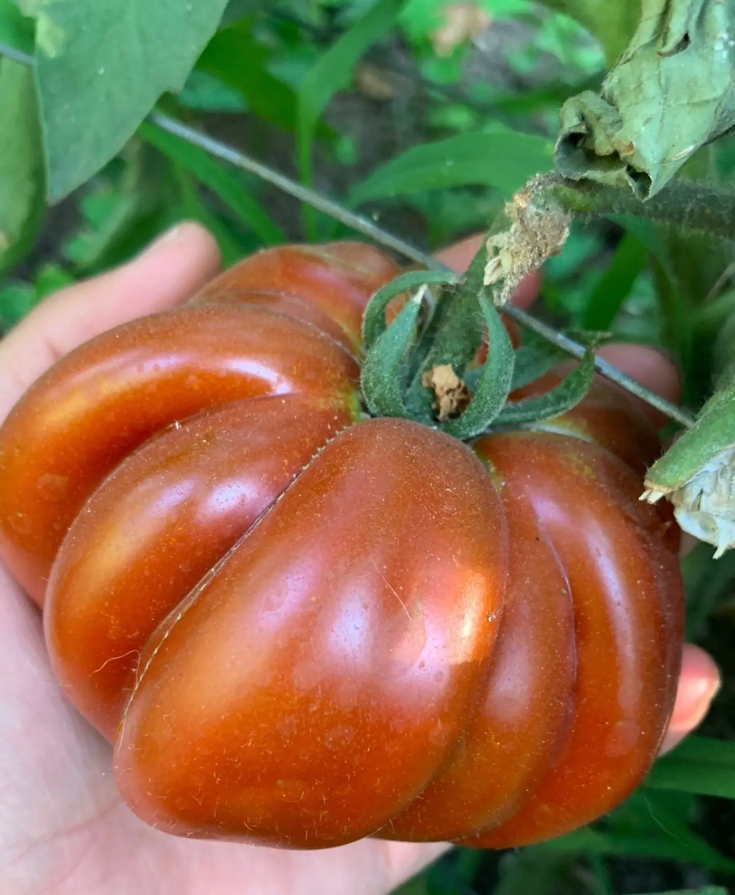 Plated carnelian  1