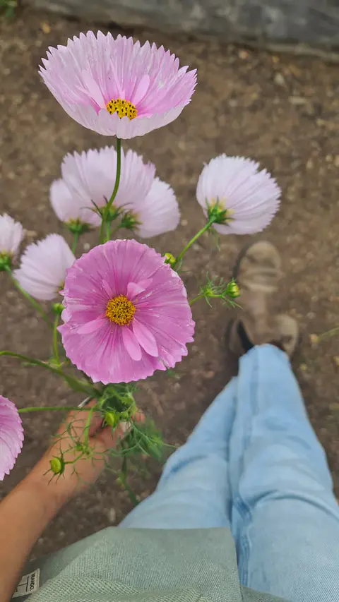 Curso online Cultivo de flores
