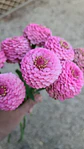 Pack primavera - Miniatura 6