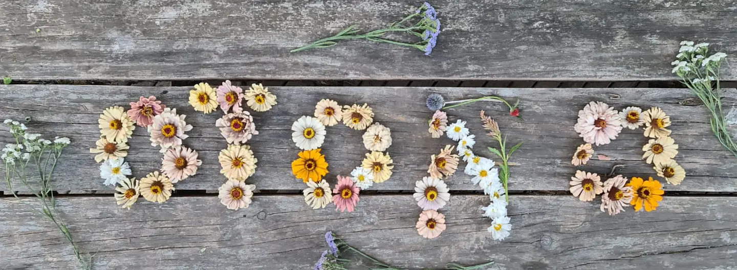 Curso cultivo de flores