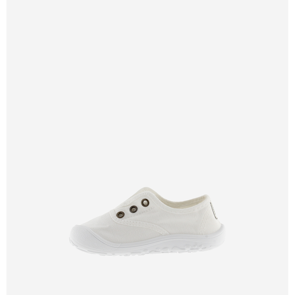 VICTORIA - Bosco Lona 26V