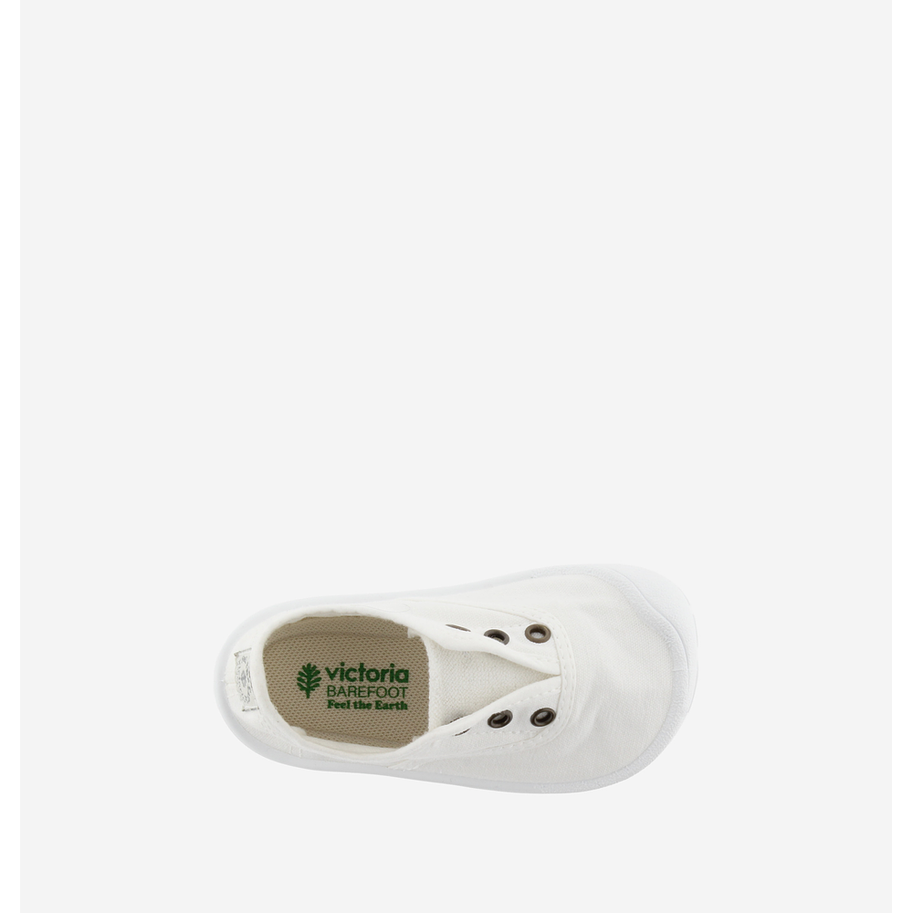 VICTORIA - Bosco Lona 26V