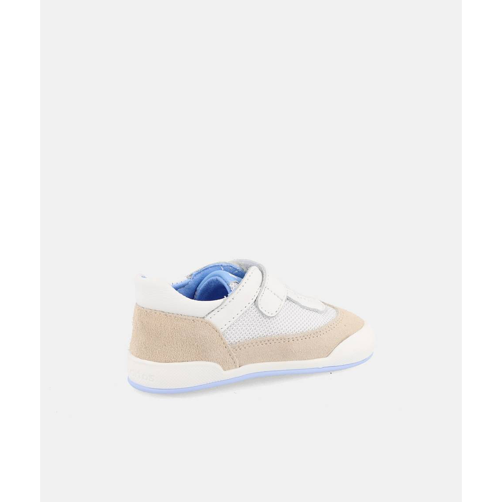 BLANDITOS - Modena 26V