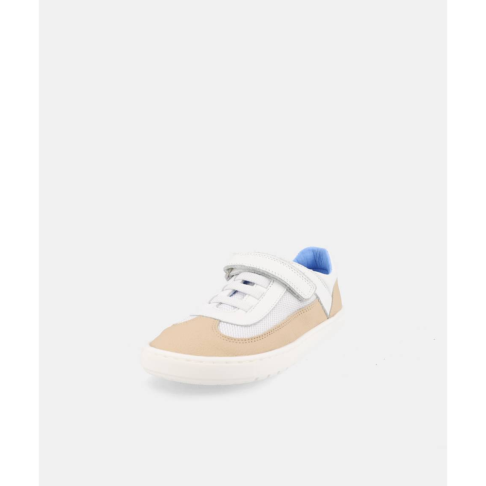 BLANDITOS - Berlin 26V