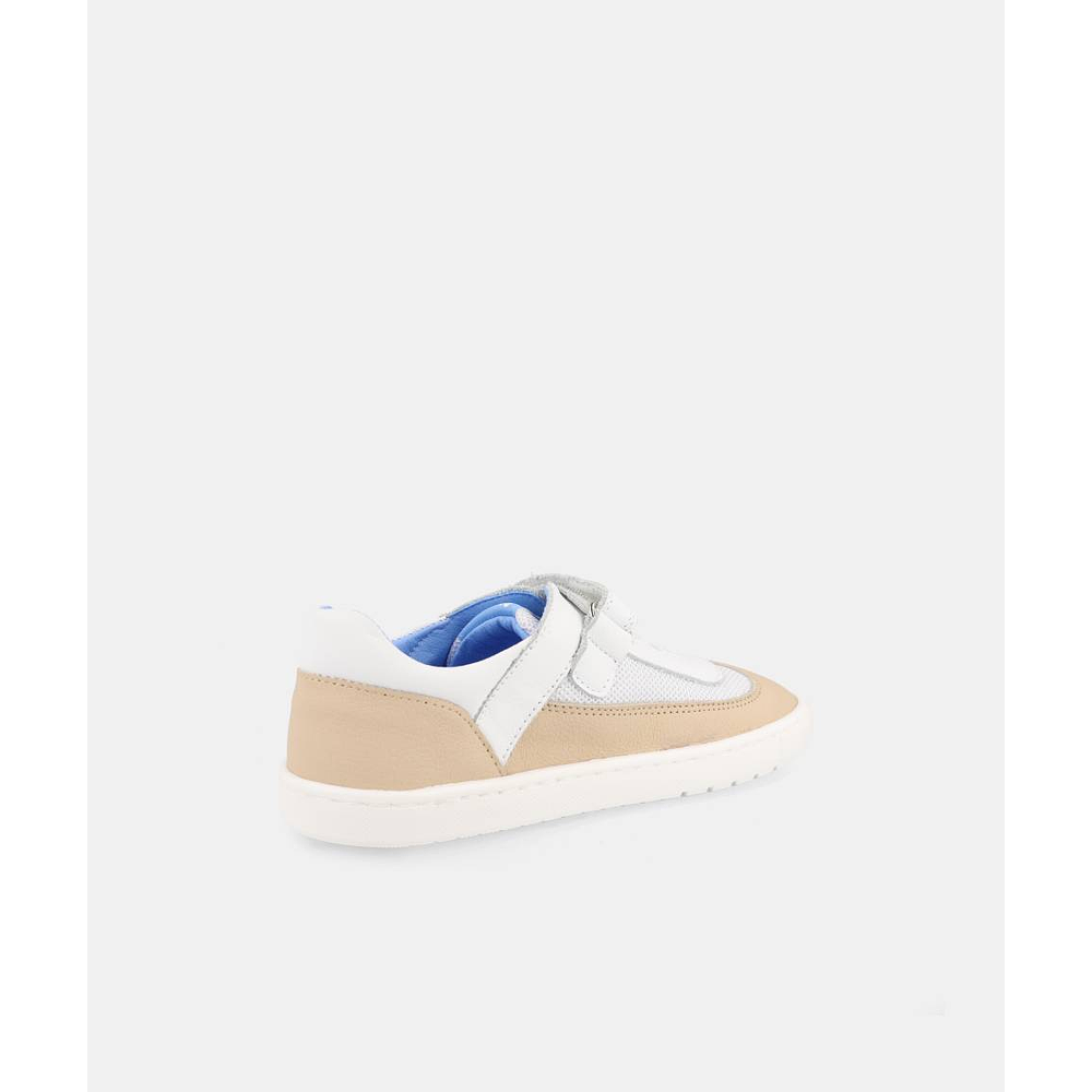 BLANDITOS - Berlin 26V