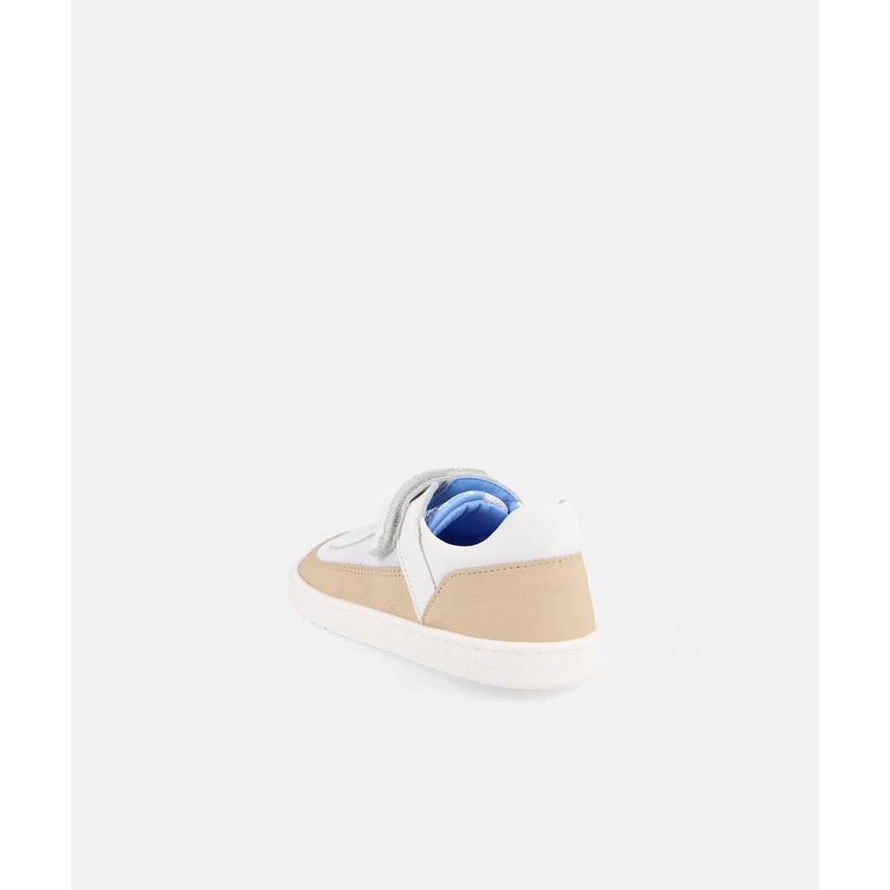 BLANDITOS - Berlin 26V