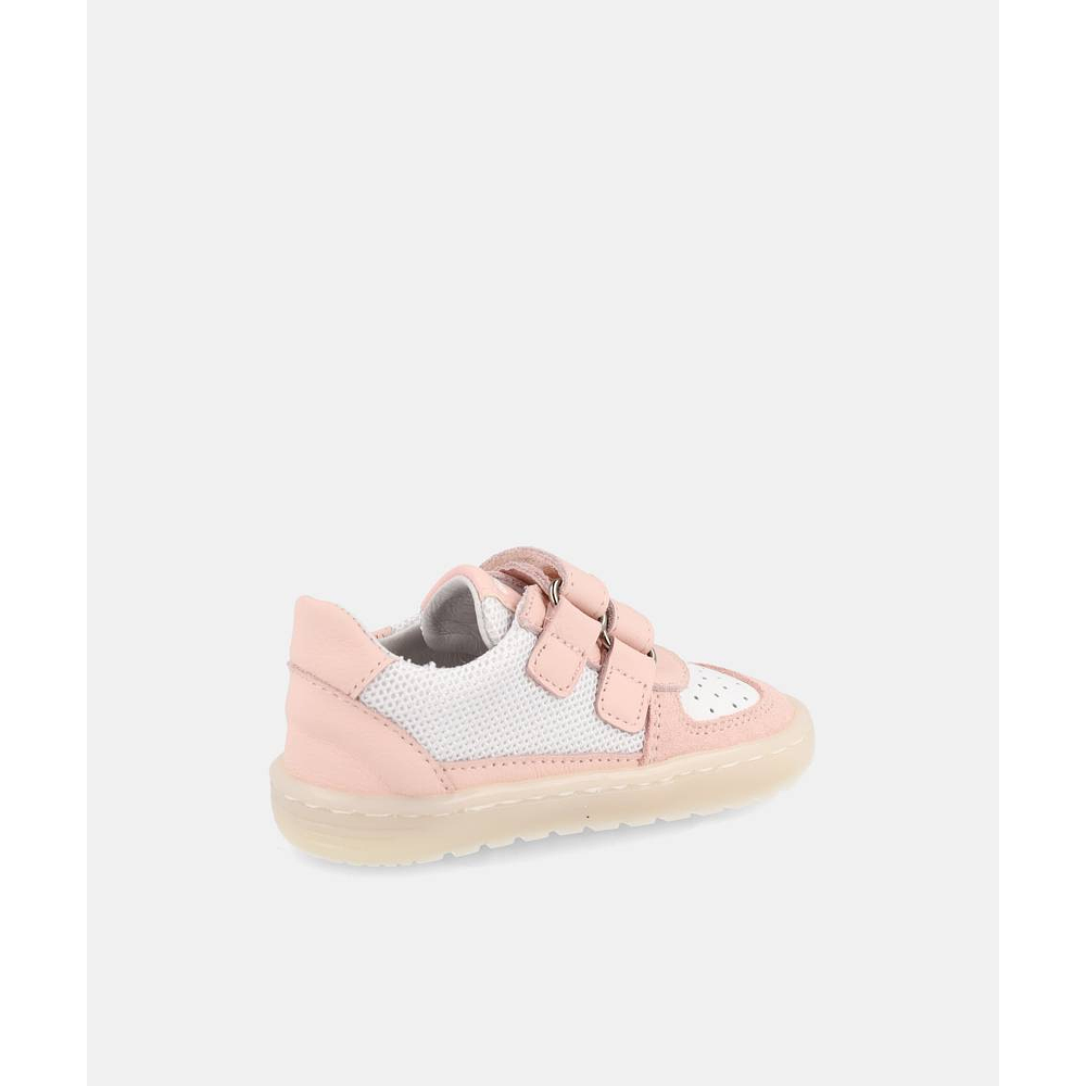 BLANDITOS - Caicos 26V