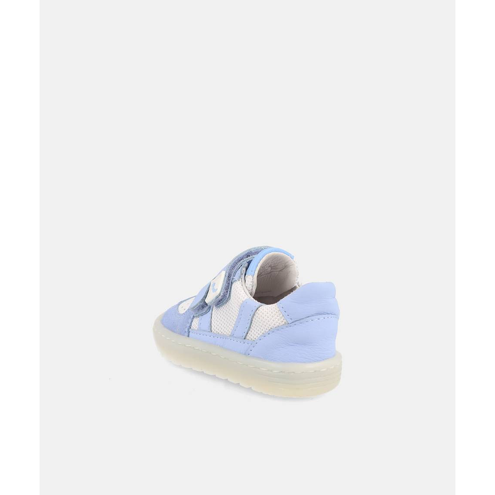 BLANDITOS - Caicos 26V