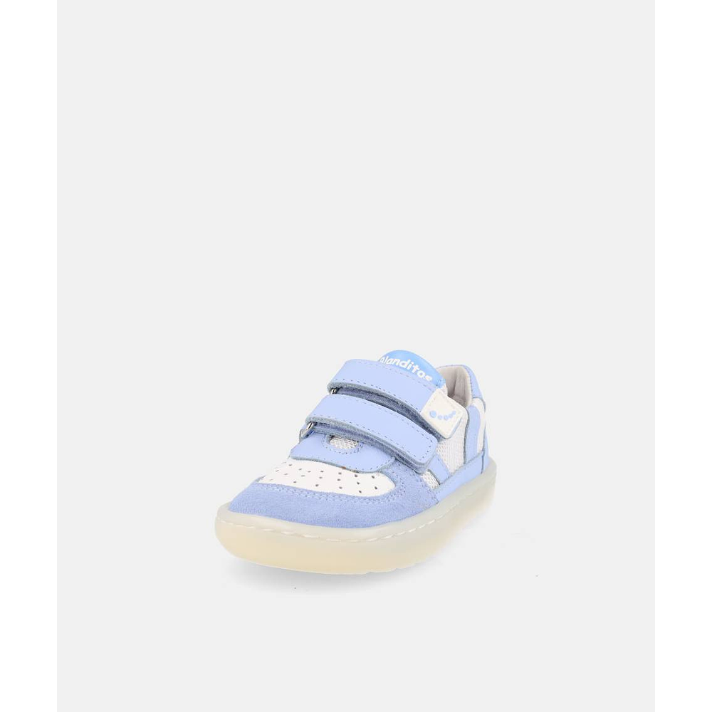 BLANDITOS - Caicos 26V