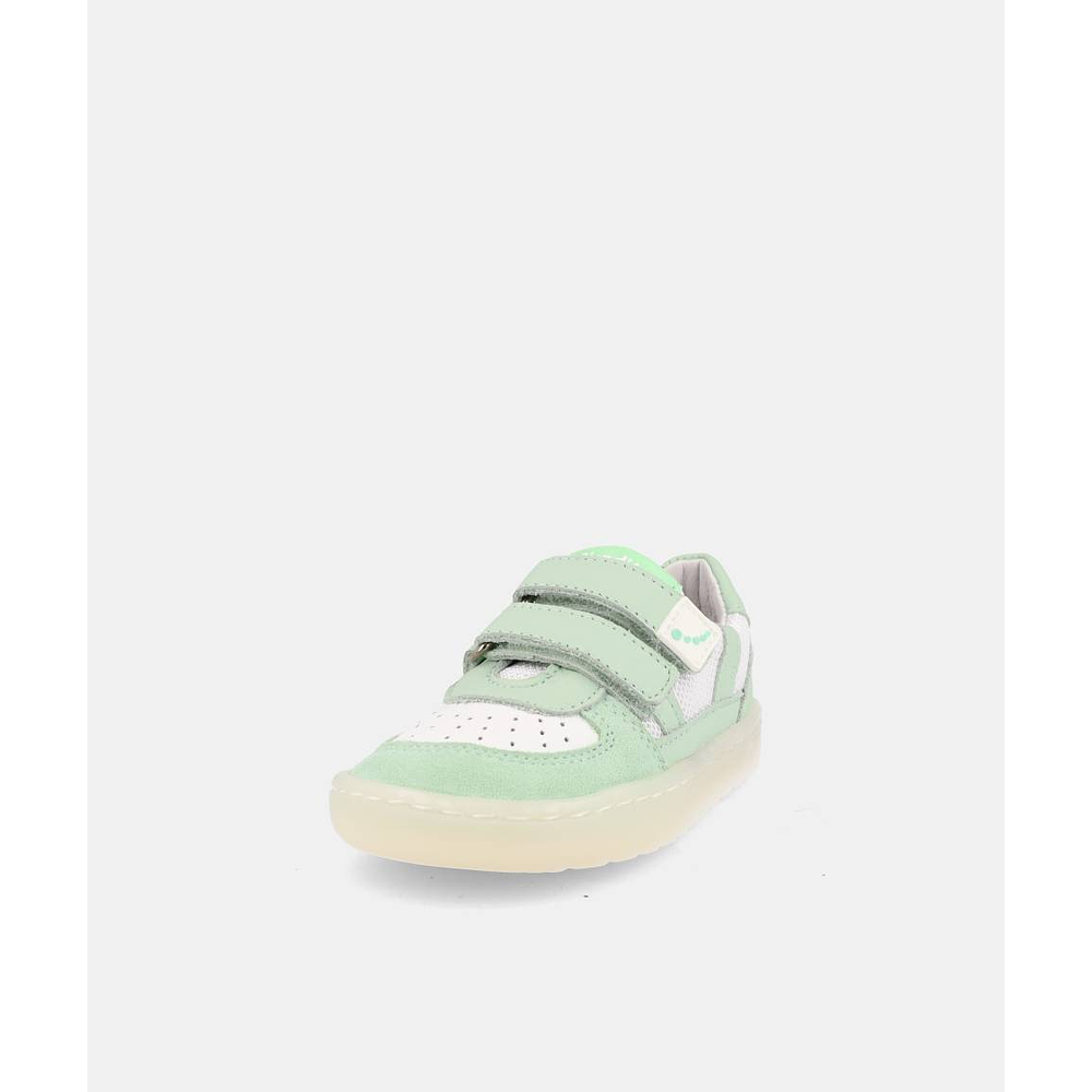 BLANDITOS - Caicos 26V