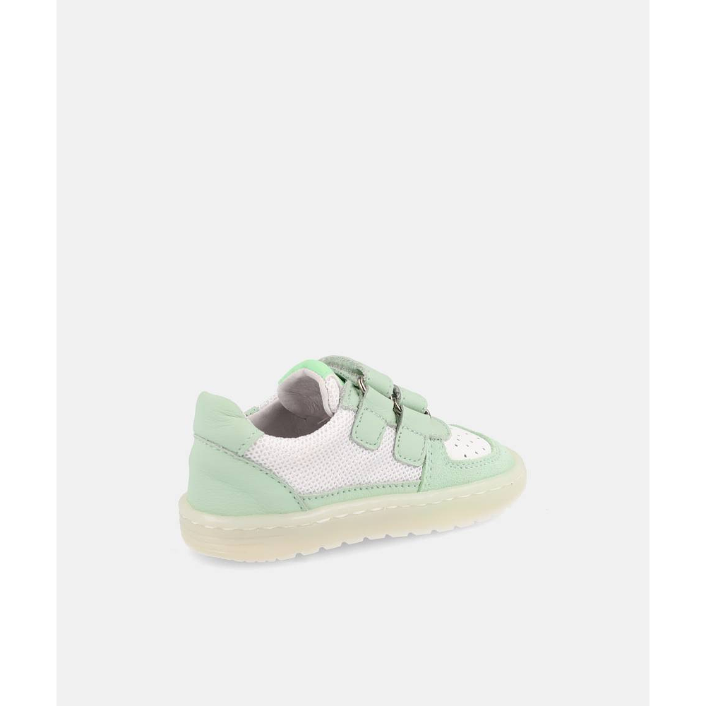 BLANDITOS - Caicos 26V