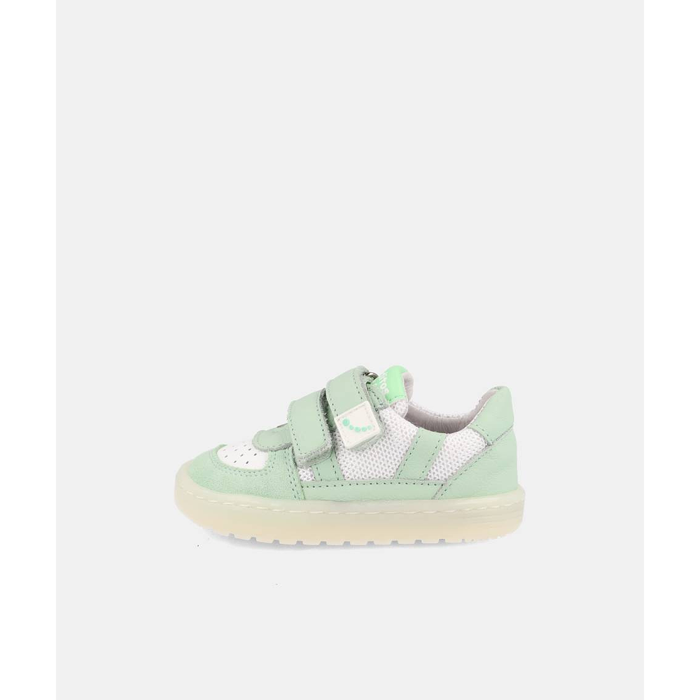 BLANDITOS - Caicos 26V