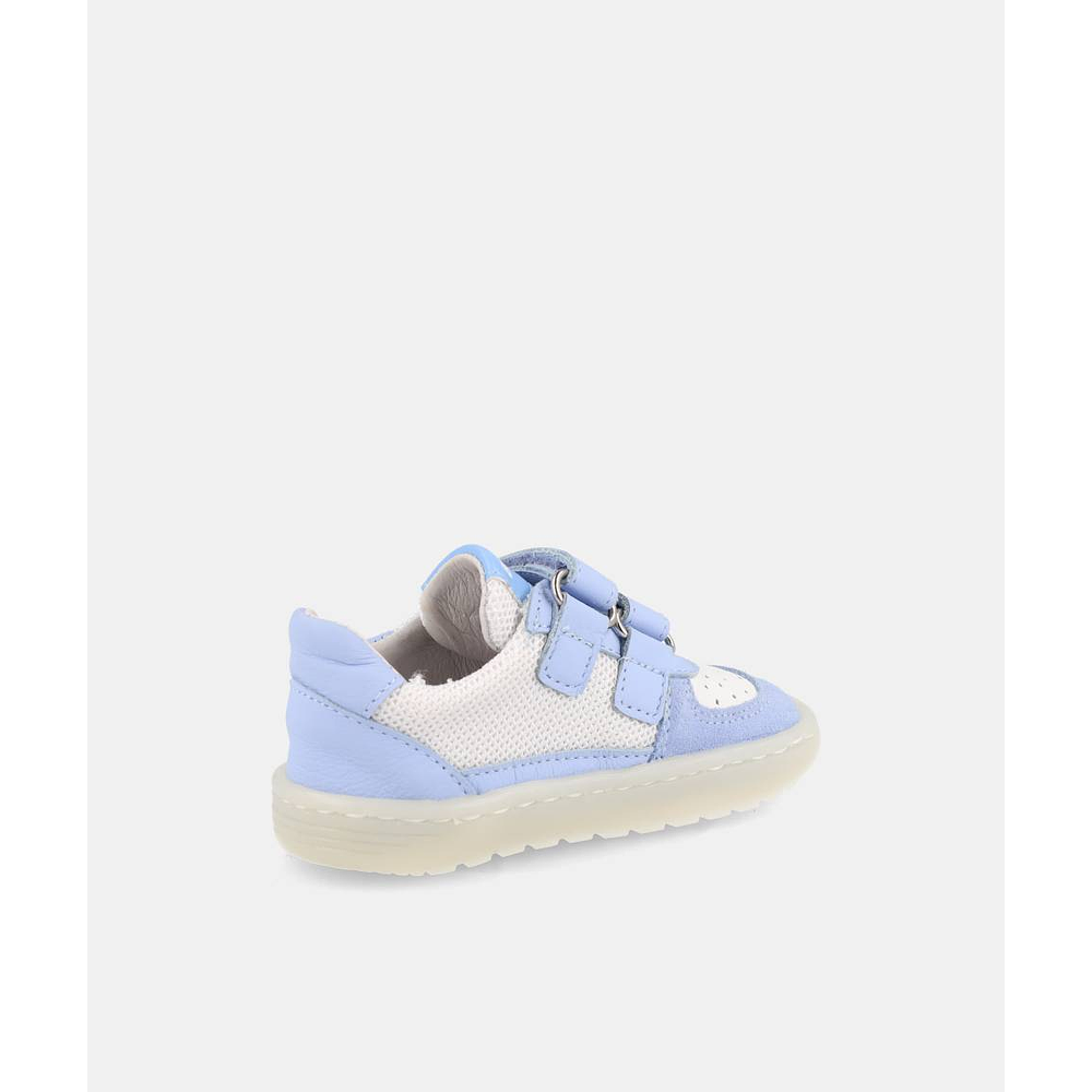 BLANDITOS - Caicos 26V