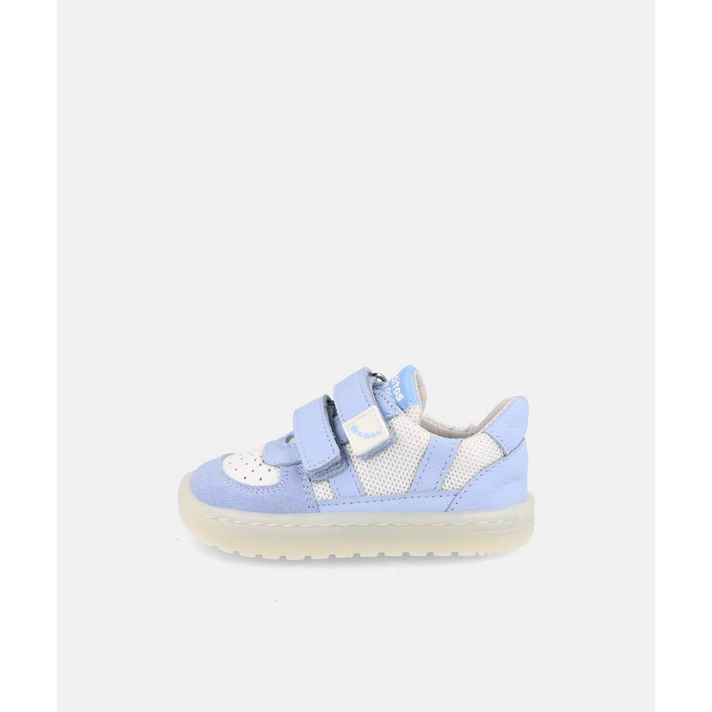 BLANDITOS - Caicos 26V