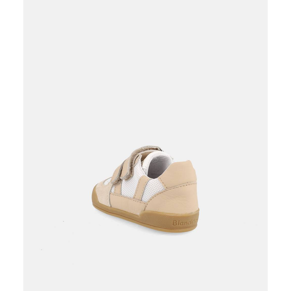 BLANDITOS - Bahamas 26V