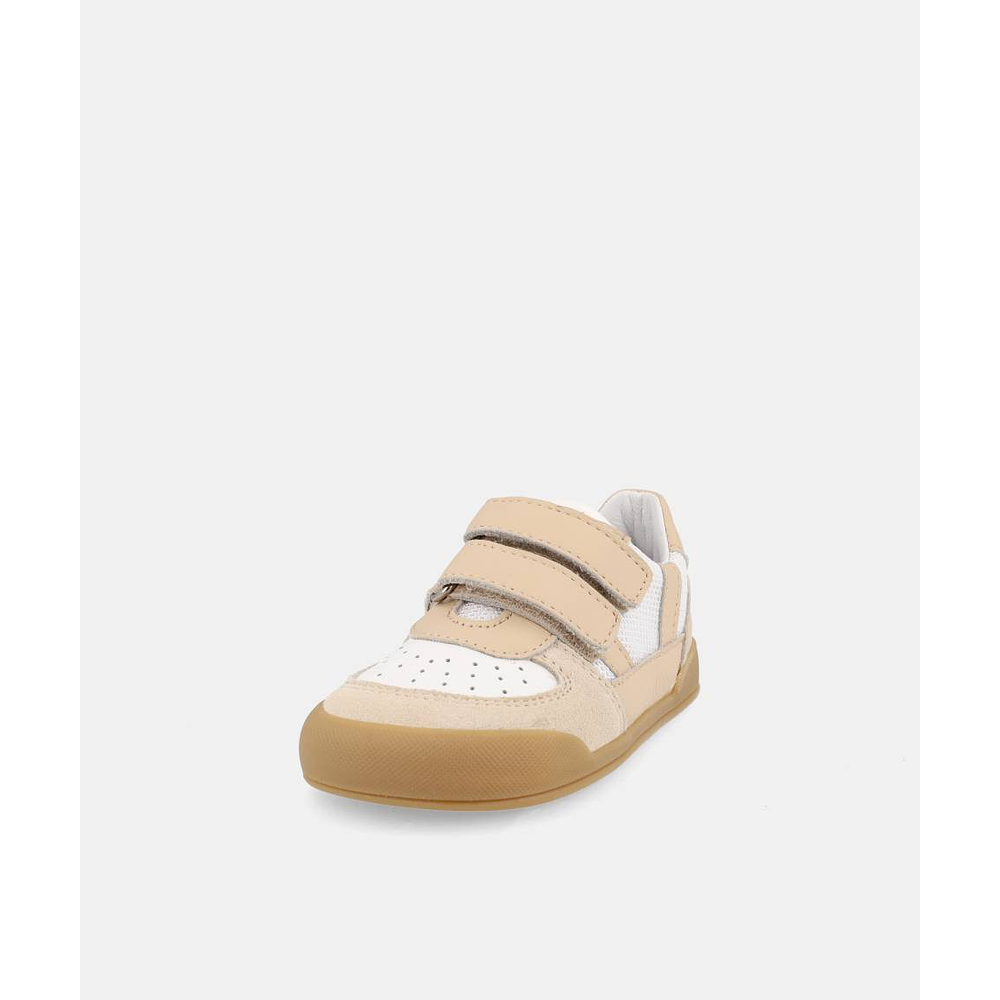 BLANDITOS - Bahamas 26V