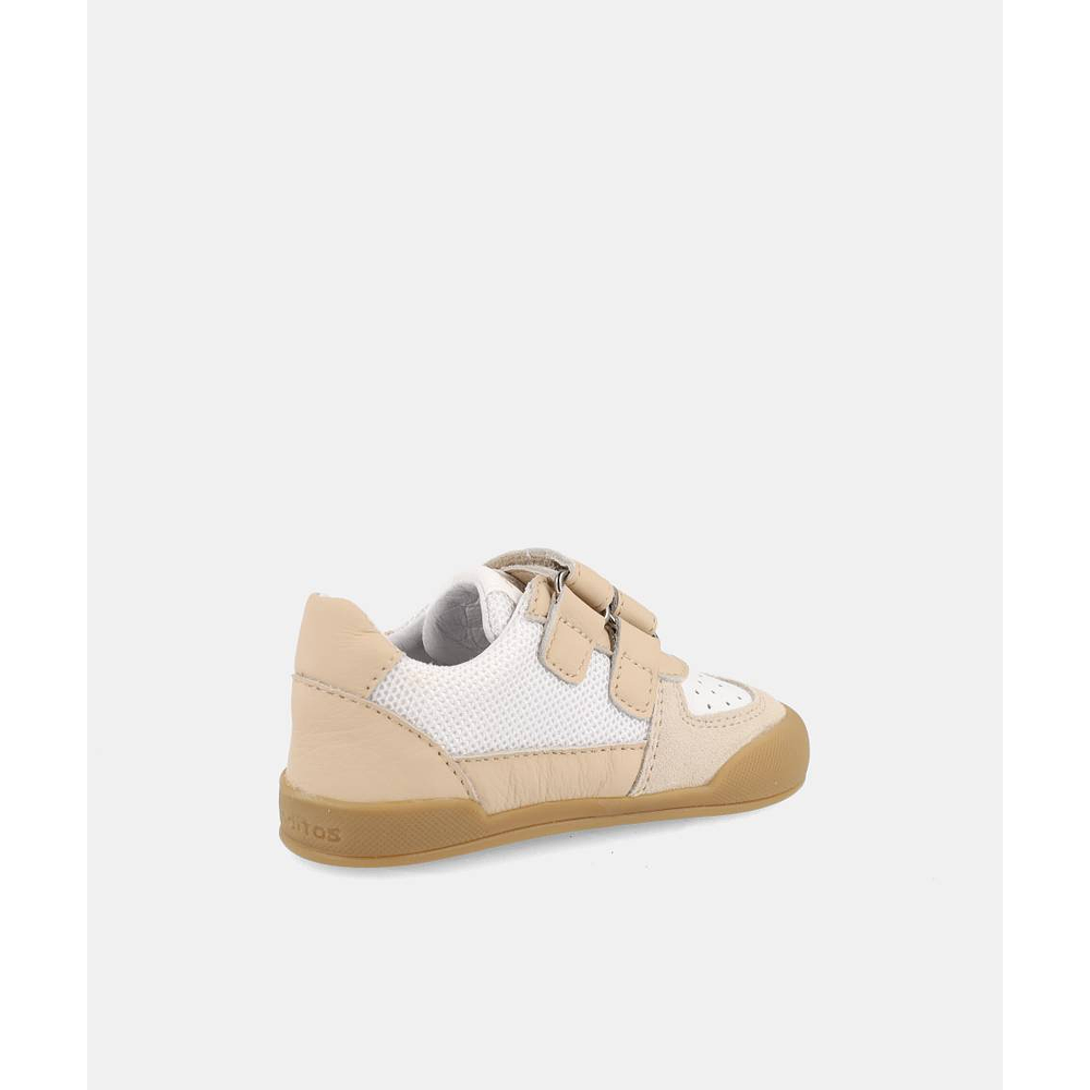 BLANDITOS - Bahamas 26V