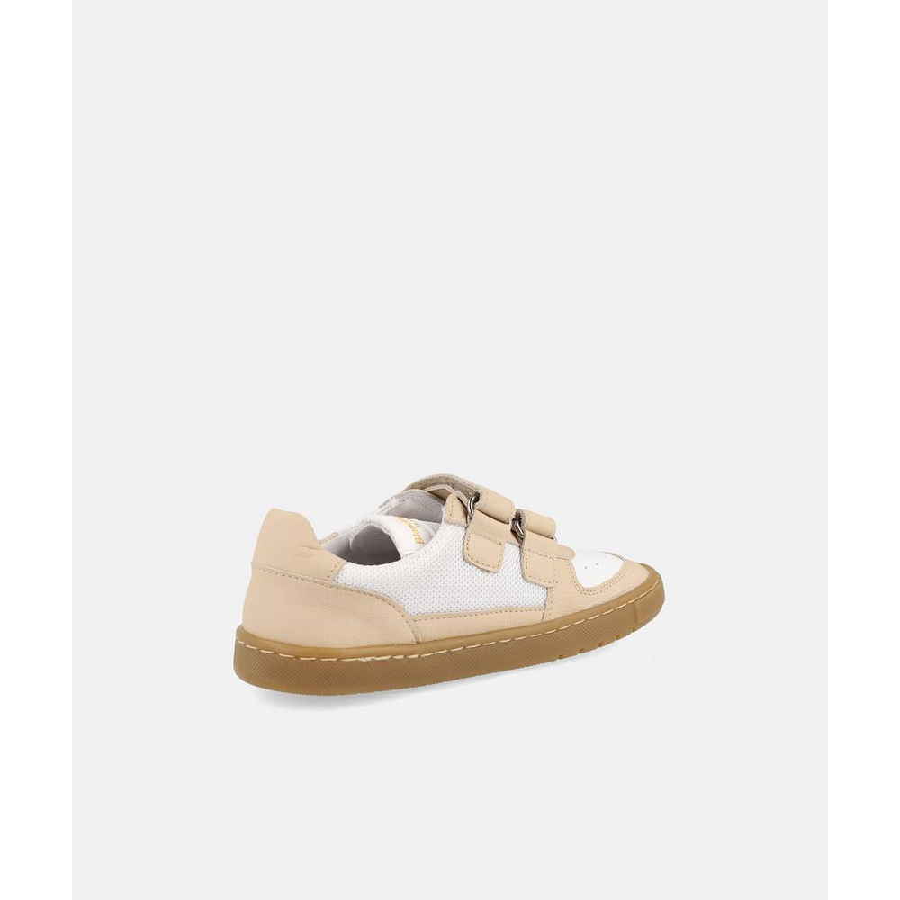 BLANDITOS - Kauai 26V