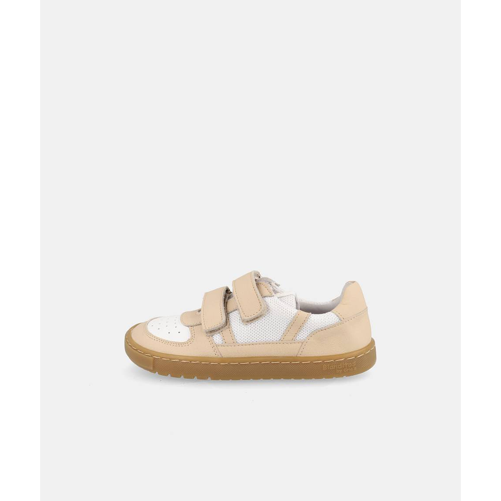 BLANDITOS - Kauai 26V