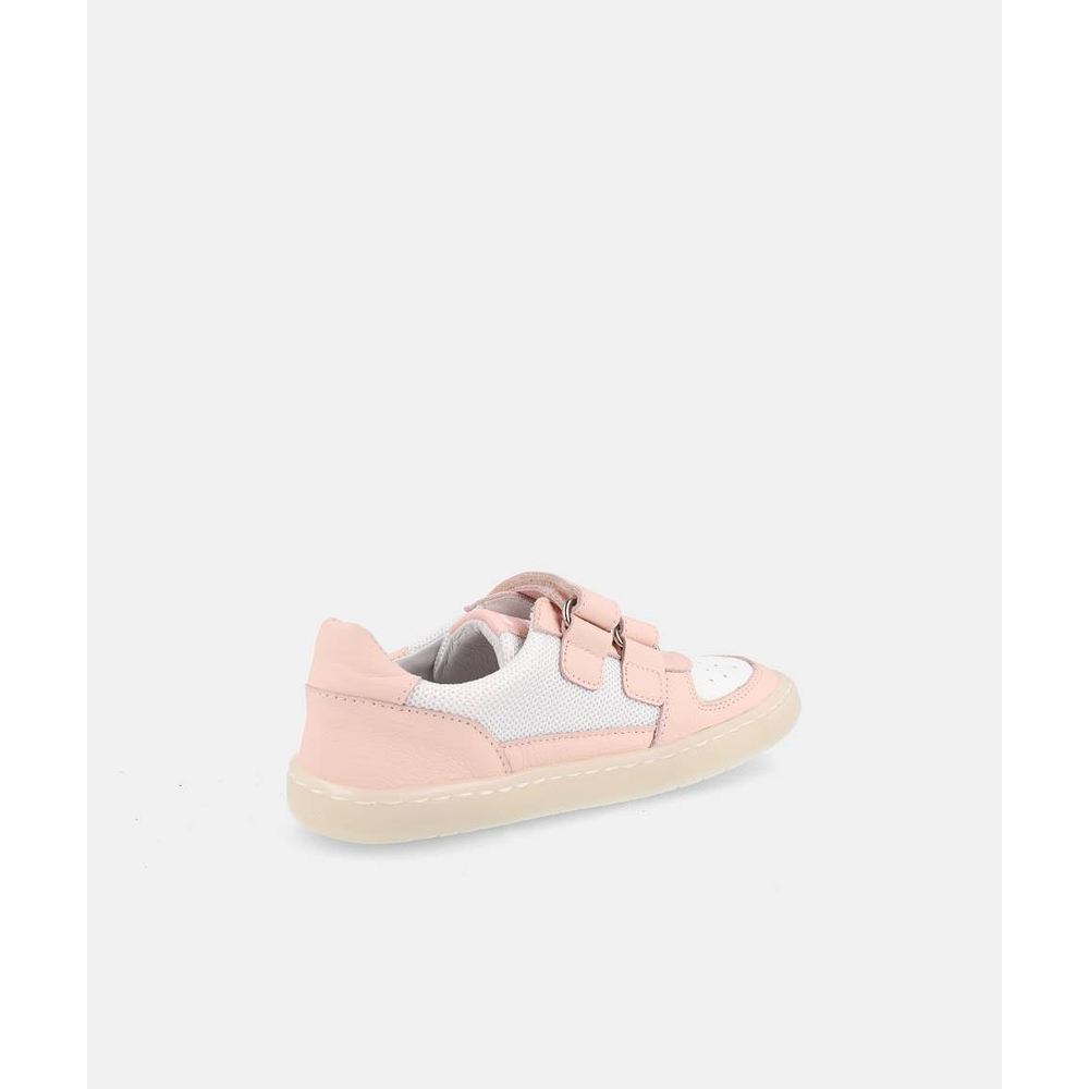 BLANDITOS - Kauai 26V