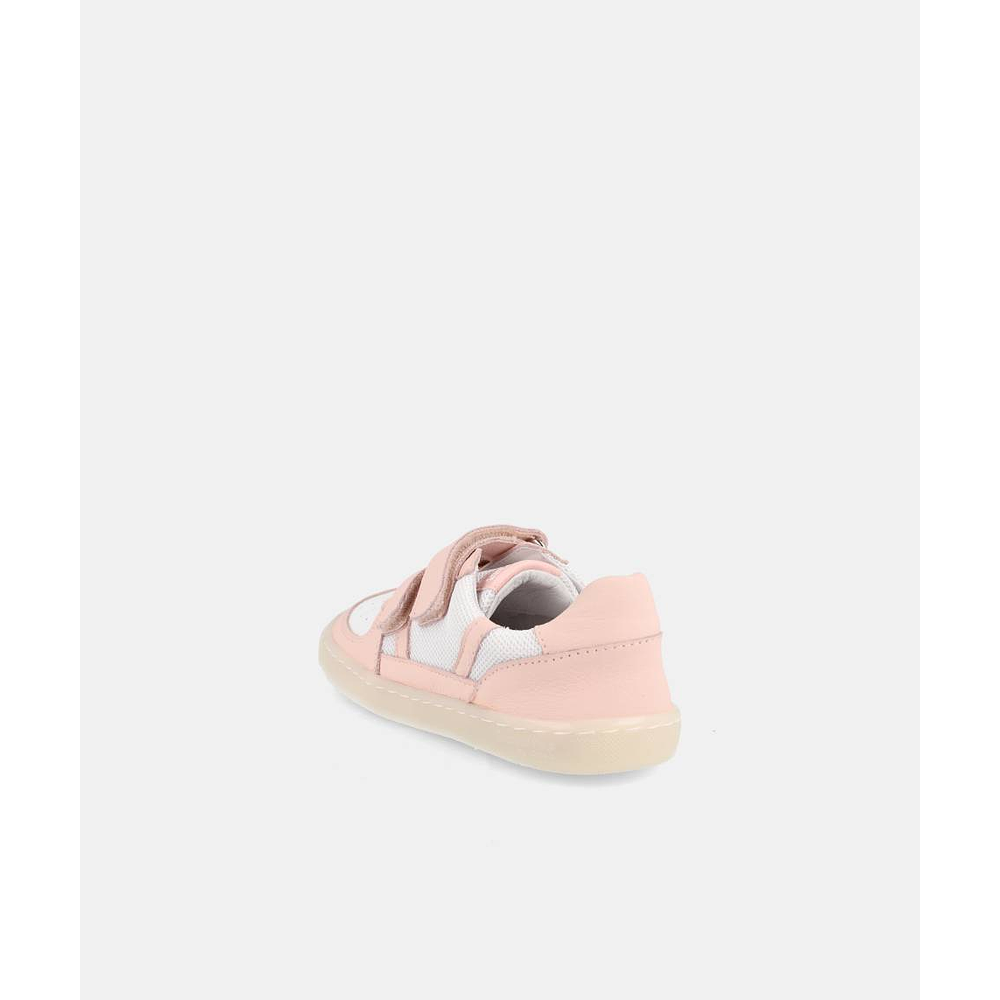 BLANDITOS - Kauai 26V