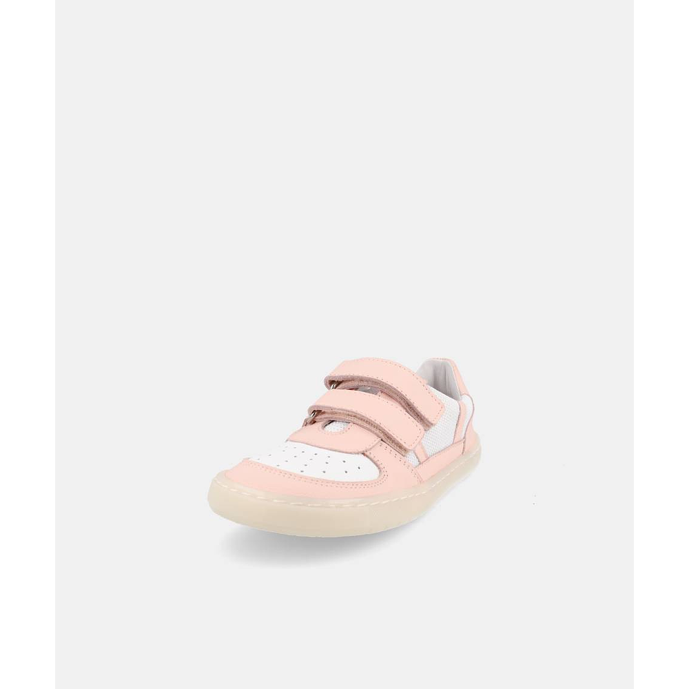 BLANDITOS - Kauai 26V