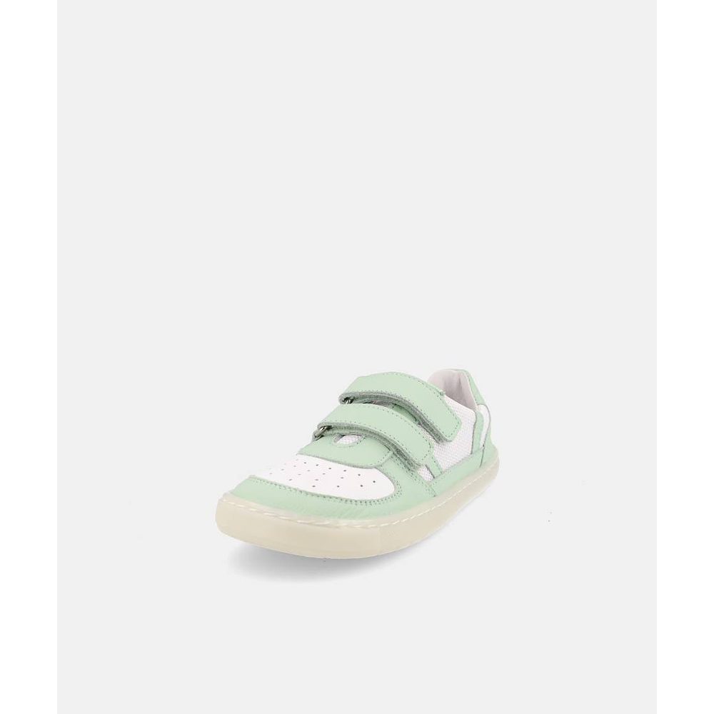 BLANDITOS - Kauai 26V