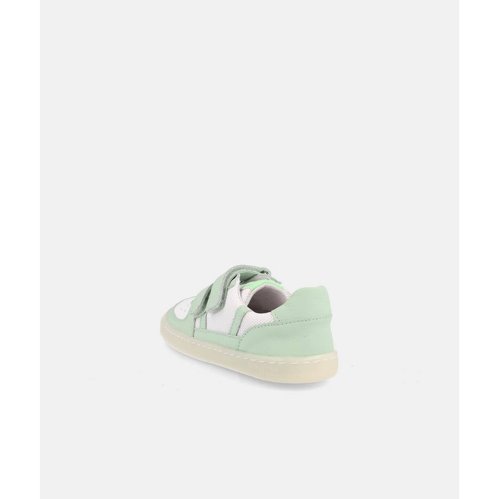 BLANDITOS - Kauai 26V