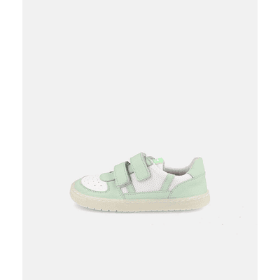 BLANDITOS - Kauai 26V