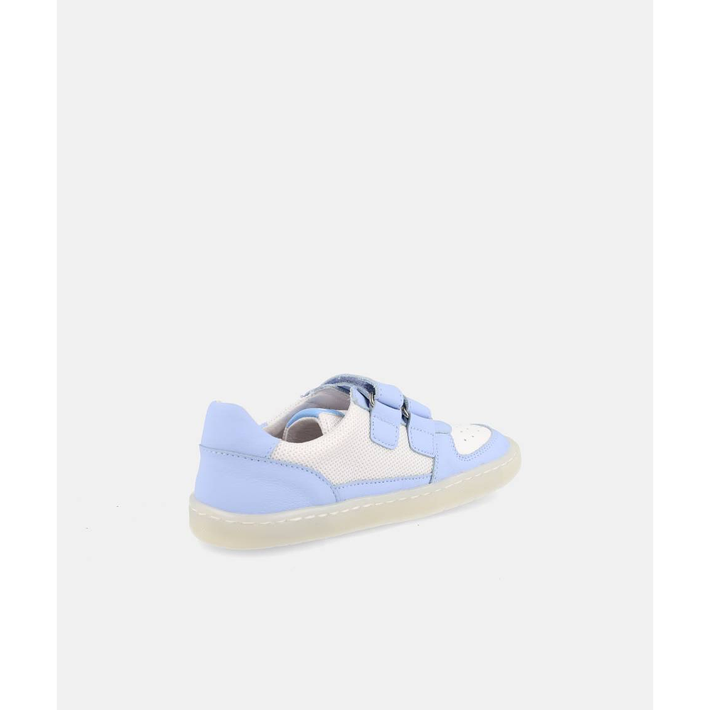 BLANDITOS - Kauai 26V