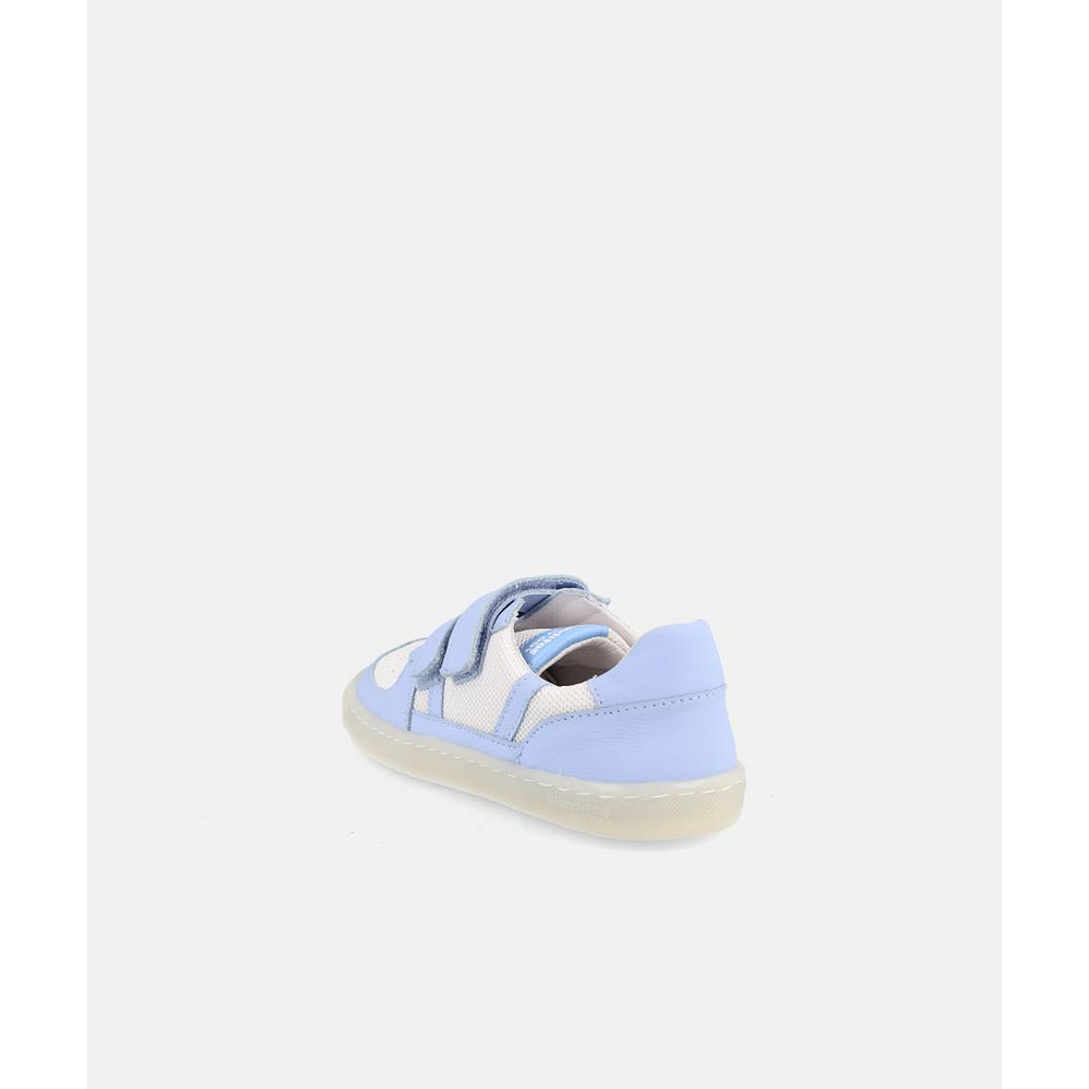 BLANDITOS - Kauai 26V