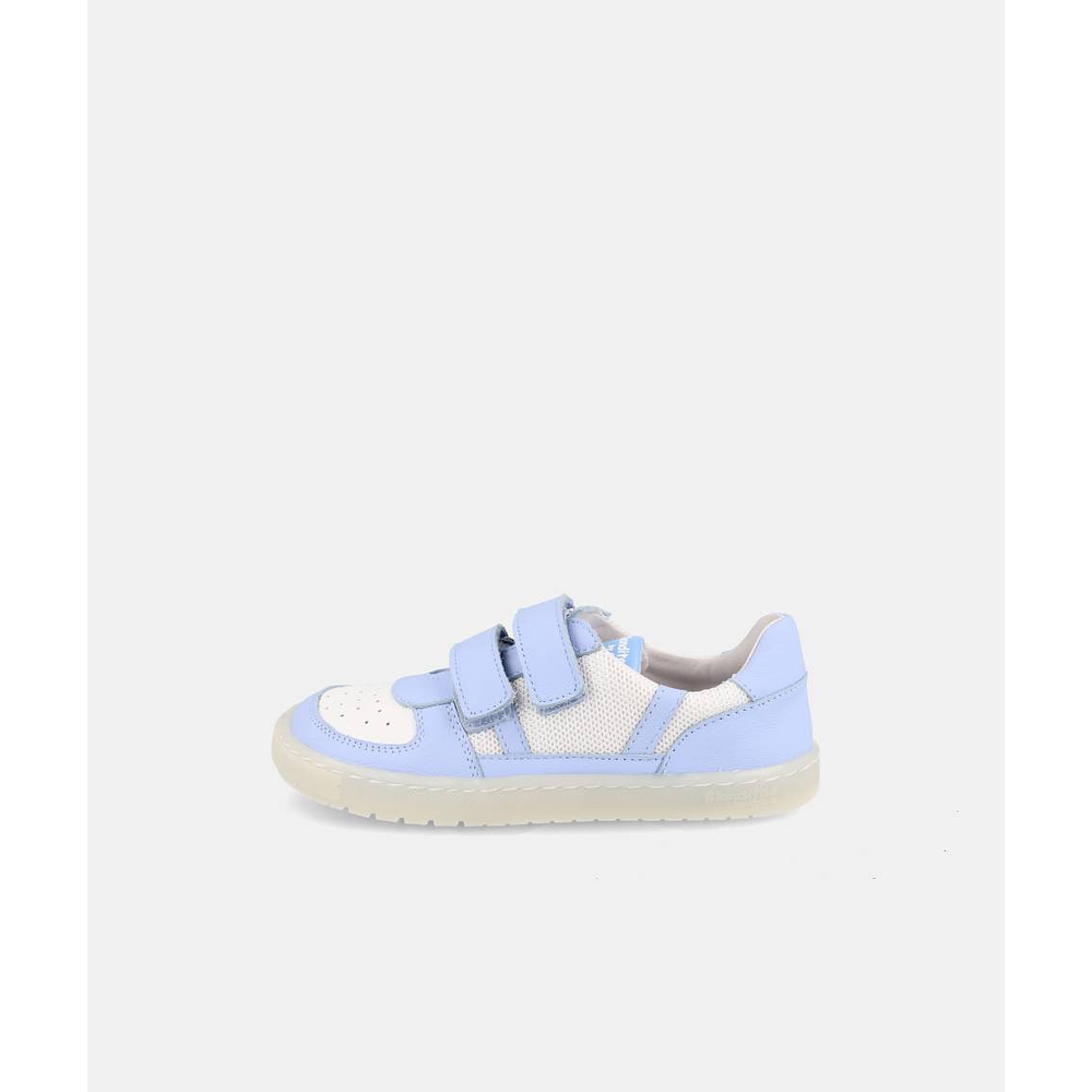 BLANDITOS - Kauai 26V