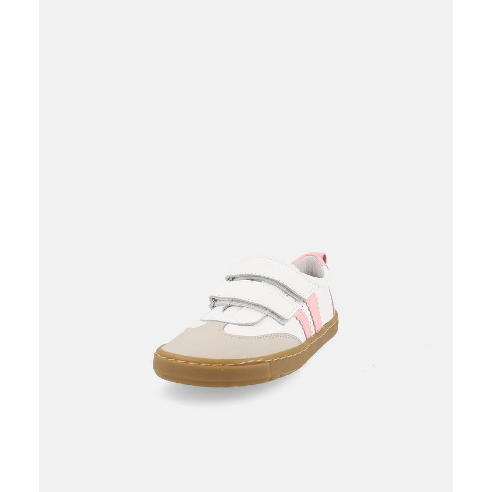 BLANDITOS - Delfin 26V