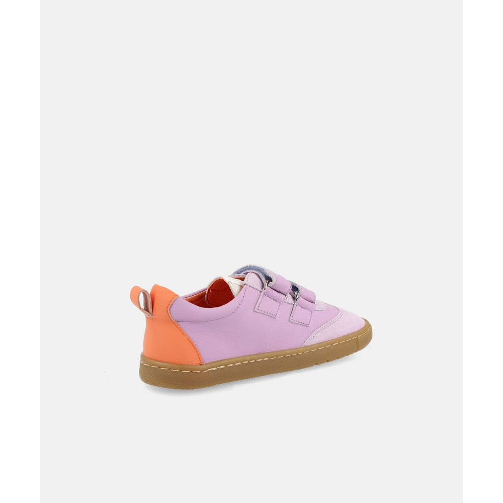 BLANDITOS - Delfin 26V