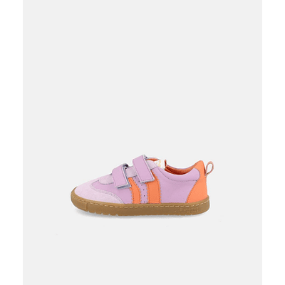 BLANDITOS - Delfin 26V