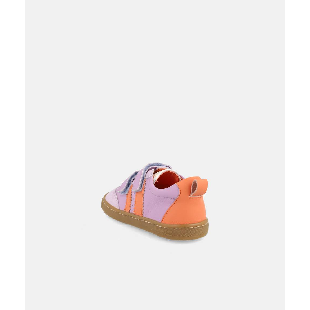 BLANDITOS - Delfin 26V