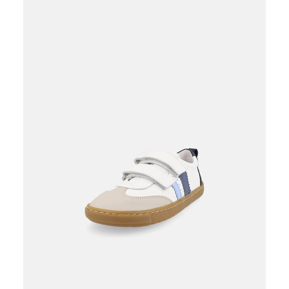 BLANDITOS - Delfin 26V