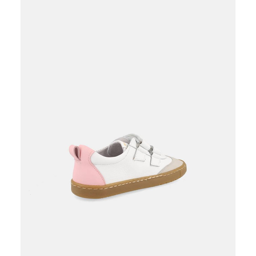 BLANDITOS - Delfin 26V